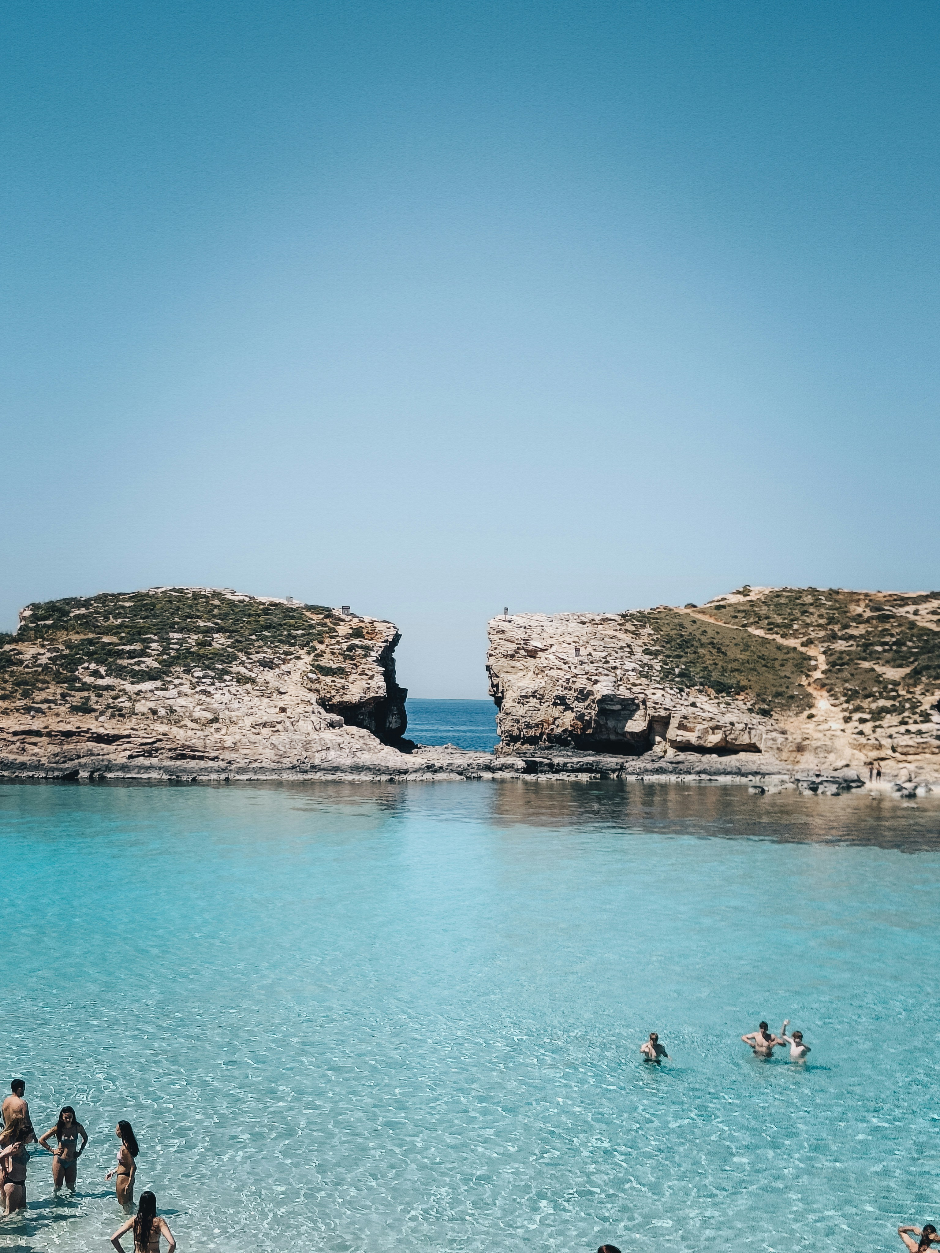 spruce-1RY_5O9jGuc-unsplash