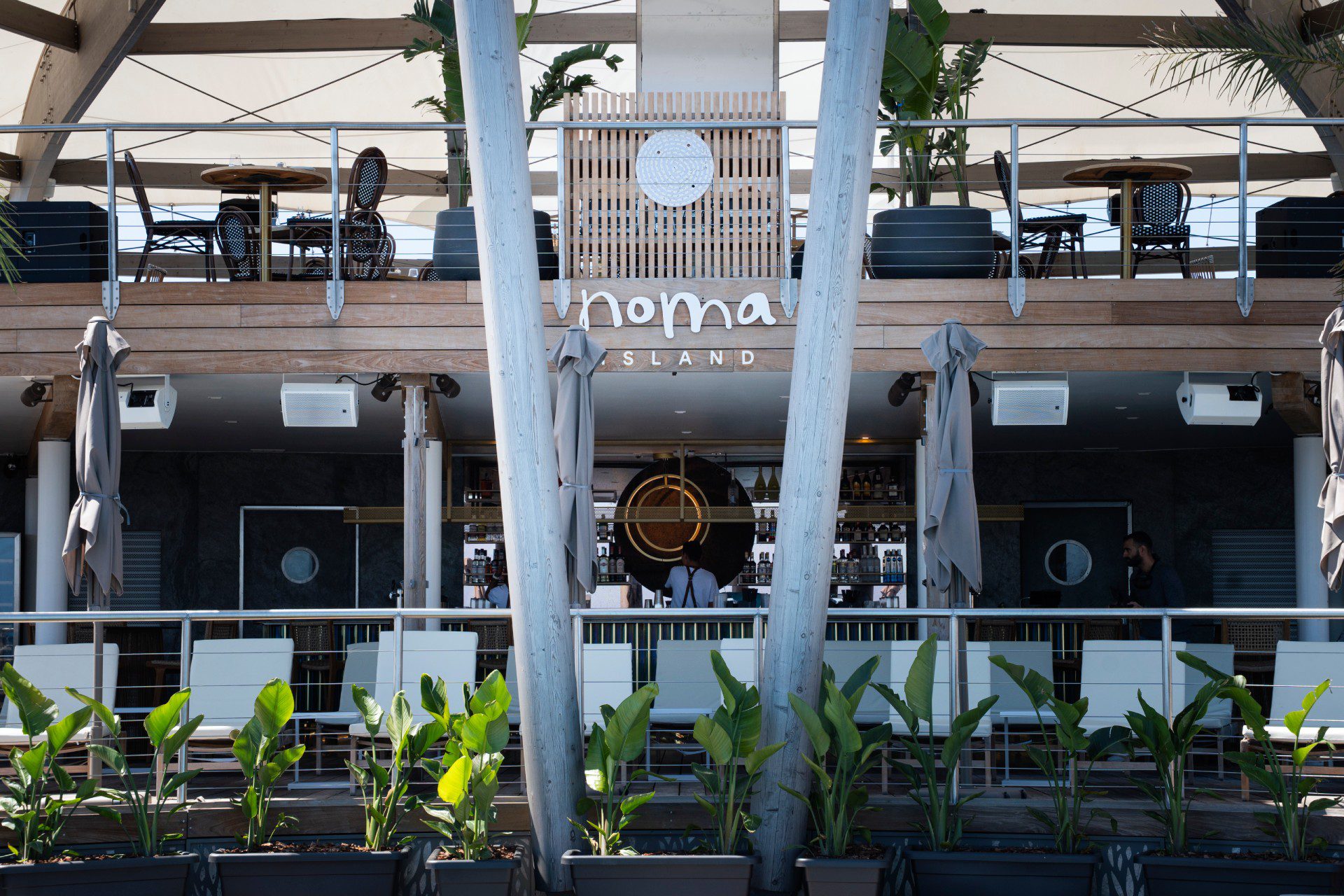 NOMA1